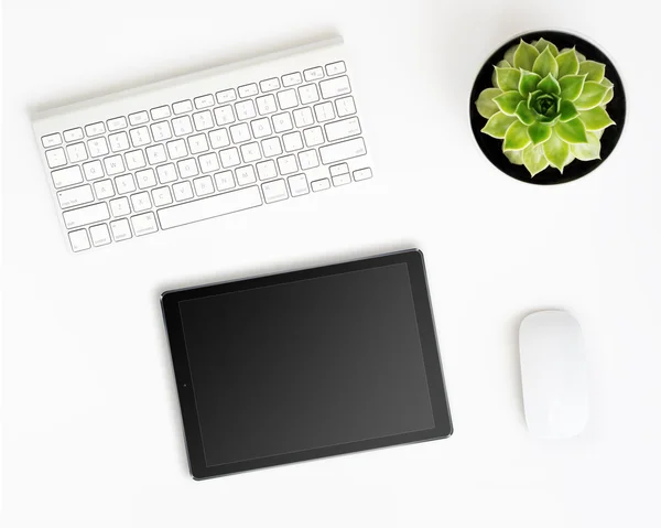 Tablet pc computer, keyboard, mouse and succulent flower in pot.