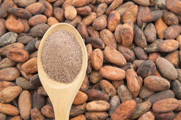 Cocoa powder and cocoa beans on the wooden table.