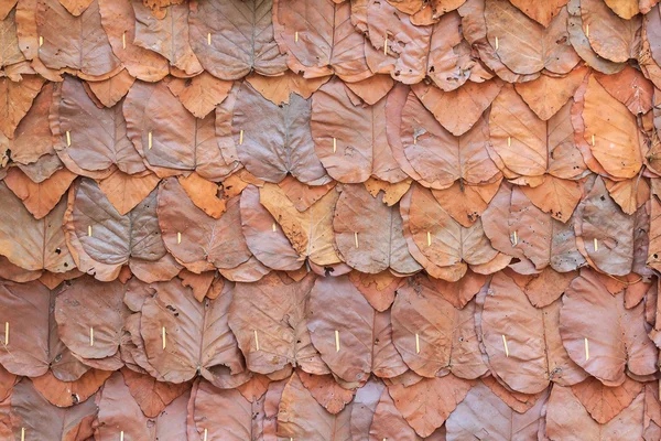 Brown dry leaves wall, Dry leaves texture, Dry leaves background for design with copy space for text or image.
