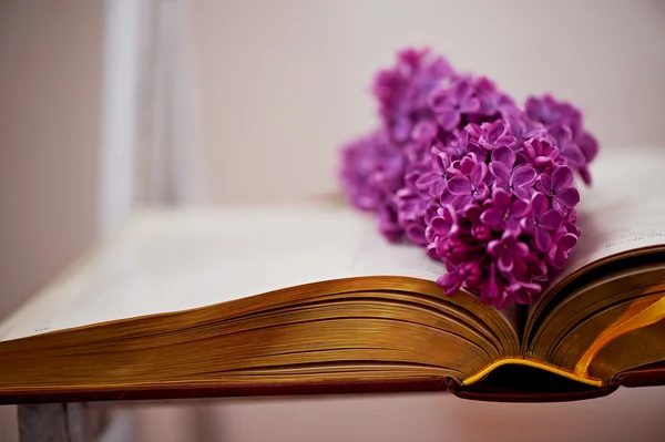 Comprehensive book, on the pages of lilac