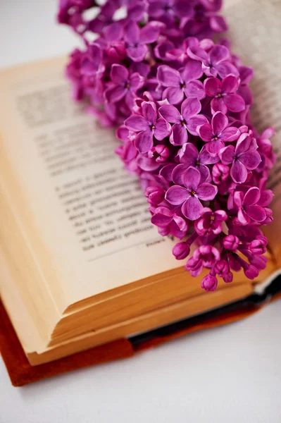 Comprehensive book, on the pages of lilac