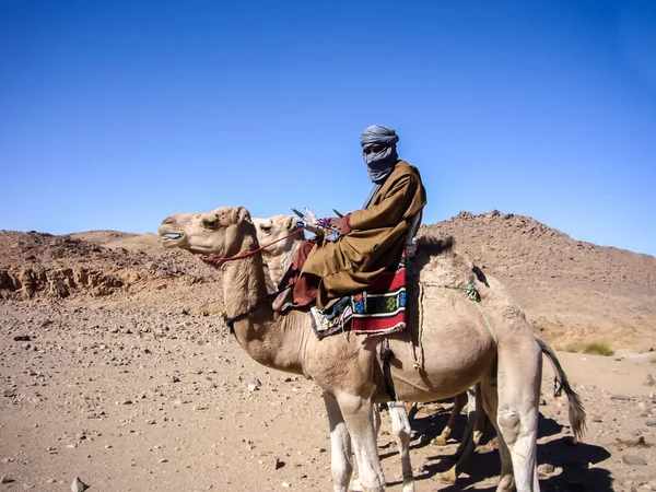 Tuareg man in the middle of Hoggar desert in Algeria