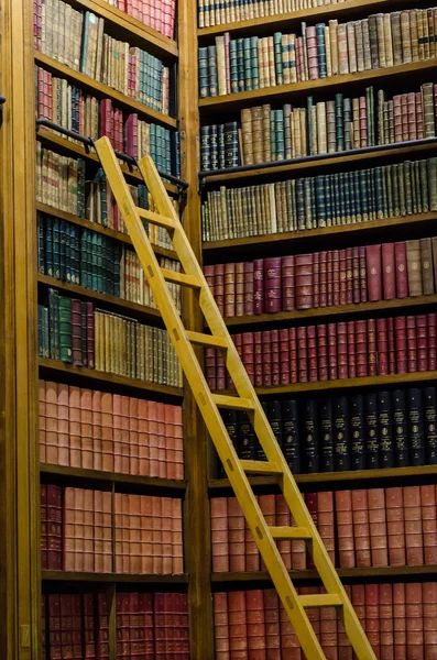 Wooden ladder in the old library