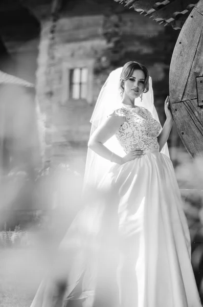 Artistic photo of a Bride and groom right before their wedding with a fountain in front of them