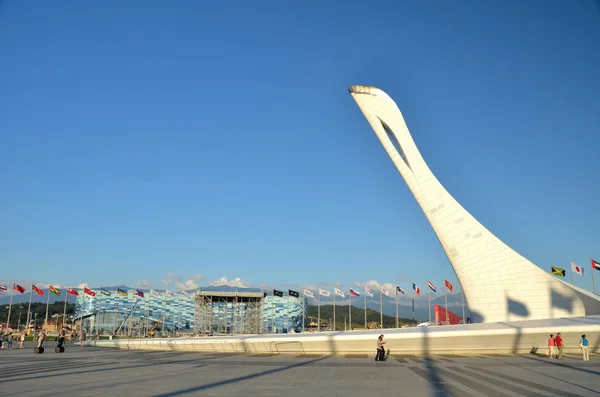 The cup Olympic flame \