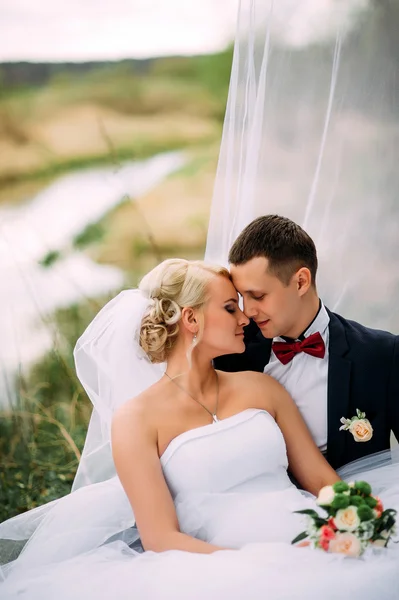 Elegant young happy wedding couple is sitting at green grass on