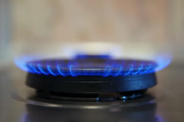 Domestic gas burner
