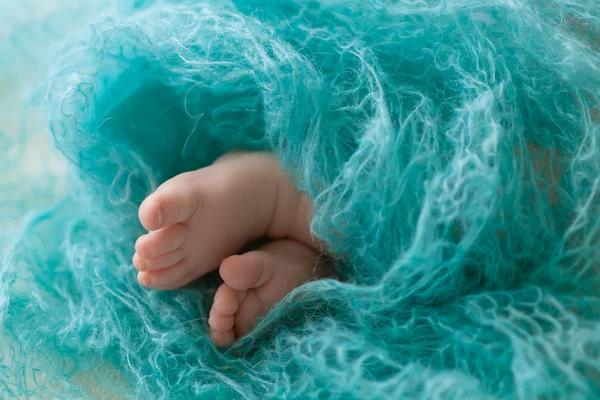 Cute feet of a newborn girl