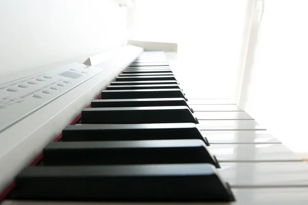 Piano keys. Piano playing. Black and white keys. Electronic piano. Musical instrument.