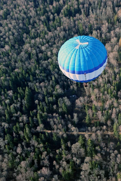 Views of blue balloon and fir forest and trees from the birds ey