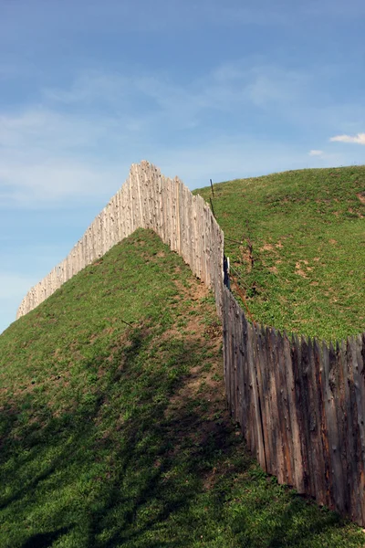 The wooden palisade on the green grass shaft of the ancient fort