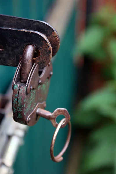 Old rusty metal green padlock with key on green metal gates clos