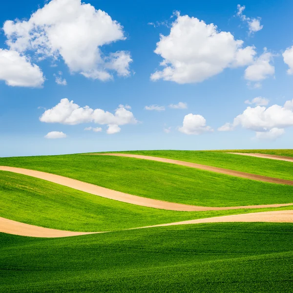 Beautiful green field with brown stripes and perfect sky