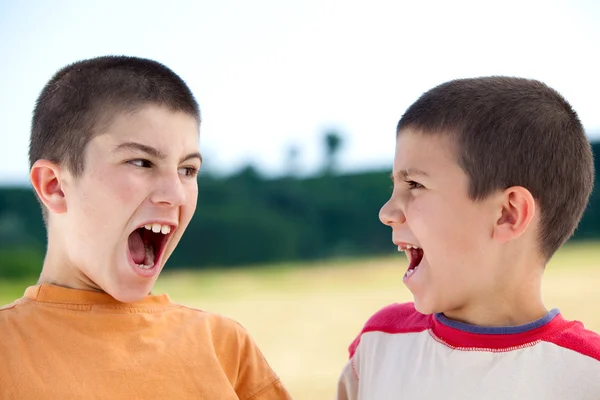 Beautiful funny young smiling brothers play outdoor in countryside