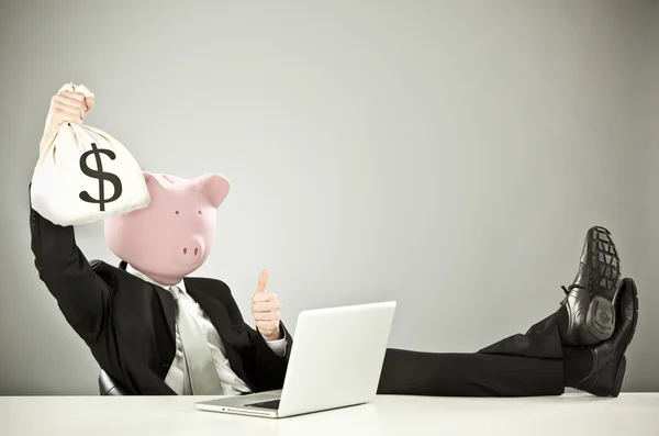 Funny businessman with pig face hold money with laptop on grey background