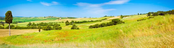 Tuscany wheat field panorama in a sunny day