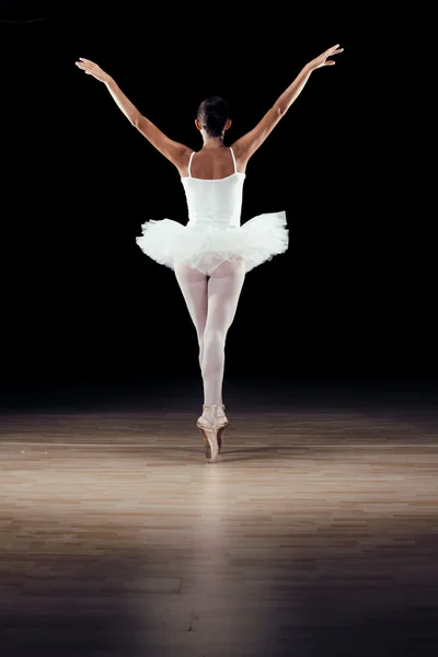 Beautiful classical dancer on black background