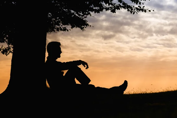 Man silhouette sitting under tree with book on cloudy day outdoor