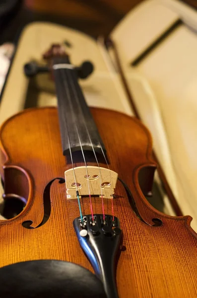 Closeup of a beautiful violin in a case.