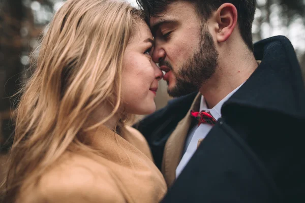 Stylish Loving wedding couple kissing and hugging in a pine forest near retro car