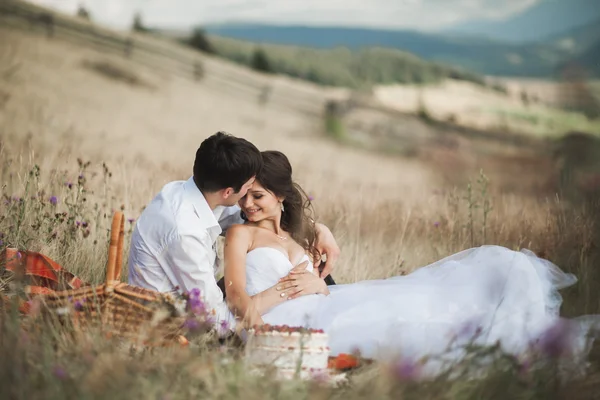 Beautiful wedding couple at picnic with fruit and cake on a background of mountains