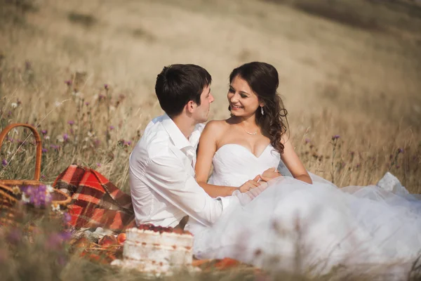 Beautiful wedding couple at picnic with fruit and cake on a background of mountains