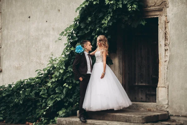 Happy wedding couple hugging and smiling each other on the background gorgeous plants in castle