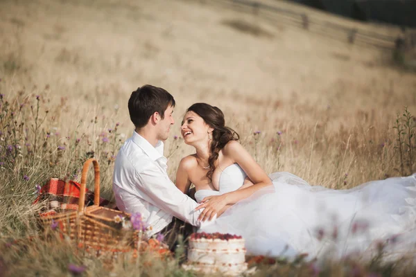 Beautiful wedding couple at picnic with fruit and cake on a background of mountains