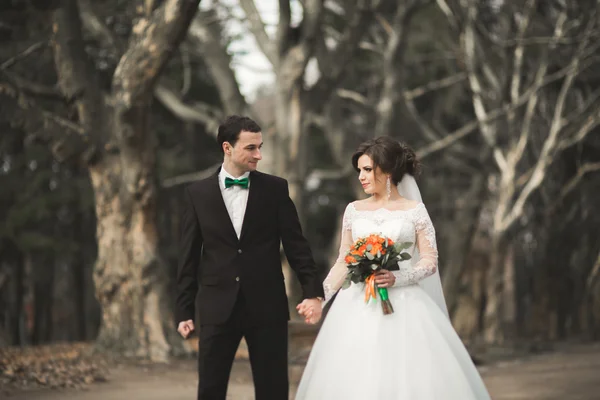 Stylish couple of happy stylish newlyweds walking in the  park on their wedding day with bouquet