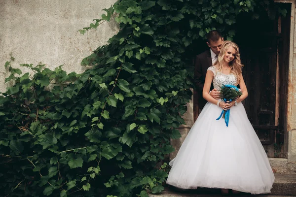 Happy wedding couple hugging and smiling each other on the background gorgeous plants in castle