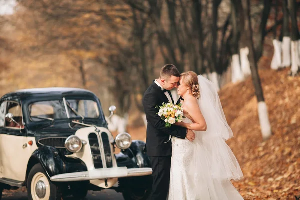 Stylish wedding couple, bride, groom kissing and hugging near retro car in autumn