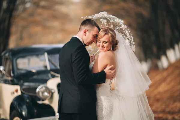 Stylish wedding couple, bride, groom kissing and hugging near retro car in autumn