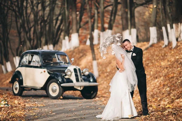 Stylish wedding couple, bride, groom kissing and hugging near retro car in autumn