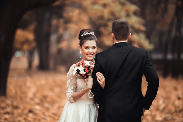 Luxury married wedding couple, bride and groom posing in park autumn