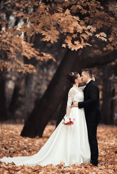 Luxury married wedding couple, bride and groom posing in park autumn
