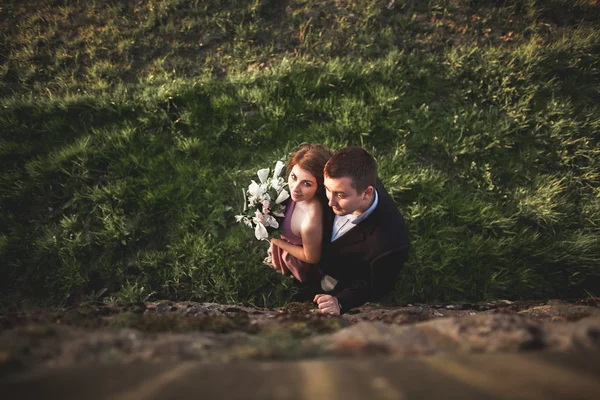 Beautiful wedding couple, girl, man kissing and photographed from above