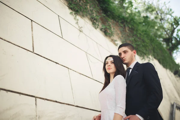 Wonderful luxury wedding couple posing near great wall