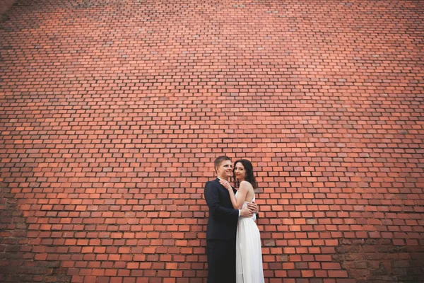 Wonderful luxury wedding couple posing near great wall