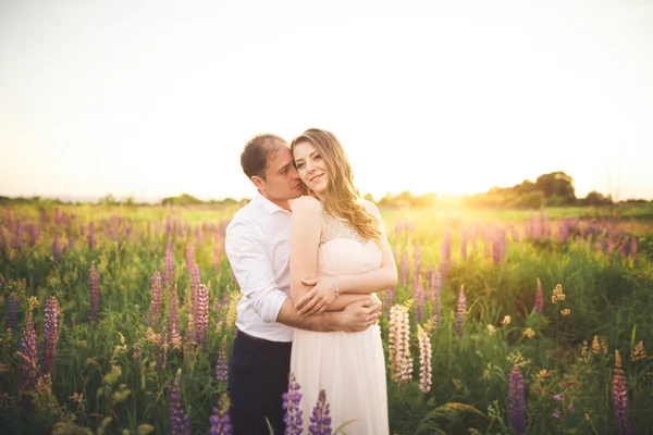 Bride and groom, rissing at sunset on a beautiful field with flowers, romantic married couple