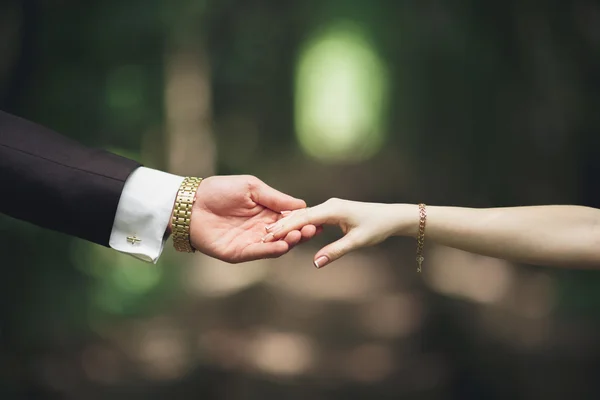 Wedding couple bride and groom holding hands