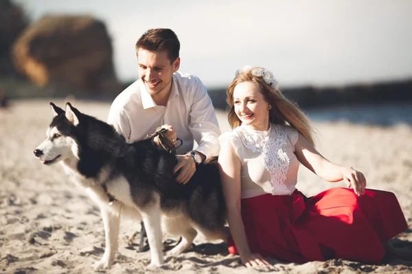 Portrait of a happy couple with dogs at the beach
