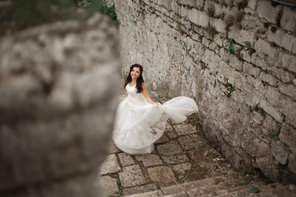 Gorgeous romantic gentle stylish beautiful caucasian bride on the background ancient baroque castle