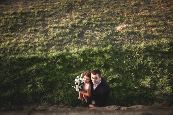 Beautiful wedding couple, girl, man kissing and photographed from above