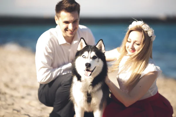 Portrait of a happy couple with dogs at the beach