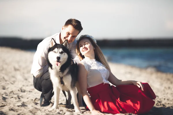 Portrait of a happy couple with dogs at the beach