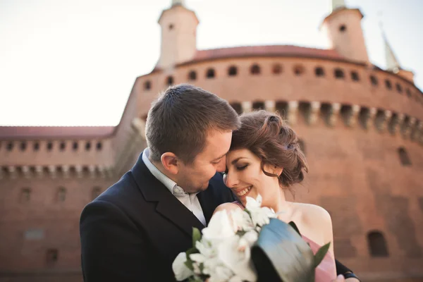Happy wedding couple, groom, bride with pink dress hugging and smiling each other on the background walls in castle