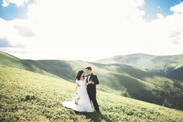 Kissing wedding couple staying over beautiful landscape