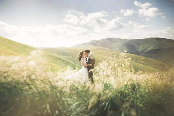 Kissing wedding couple staying over beautiful landscape