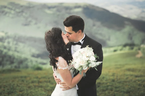 Kissing wedding couple staying over beautiful landscape