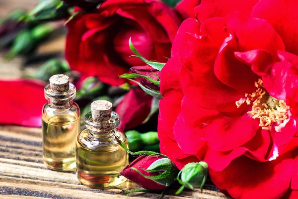 Essential oil in glass bottle with red rose flowers and petals on wooden background. Beauty treatment. Spa and aromatherapy concept. Selective focus.